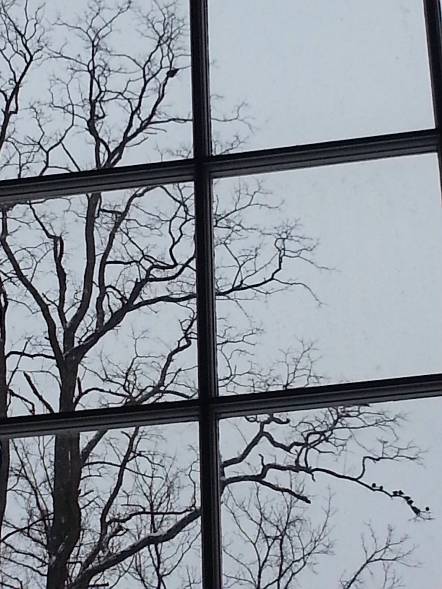 20130209_074139