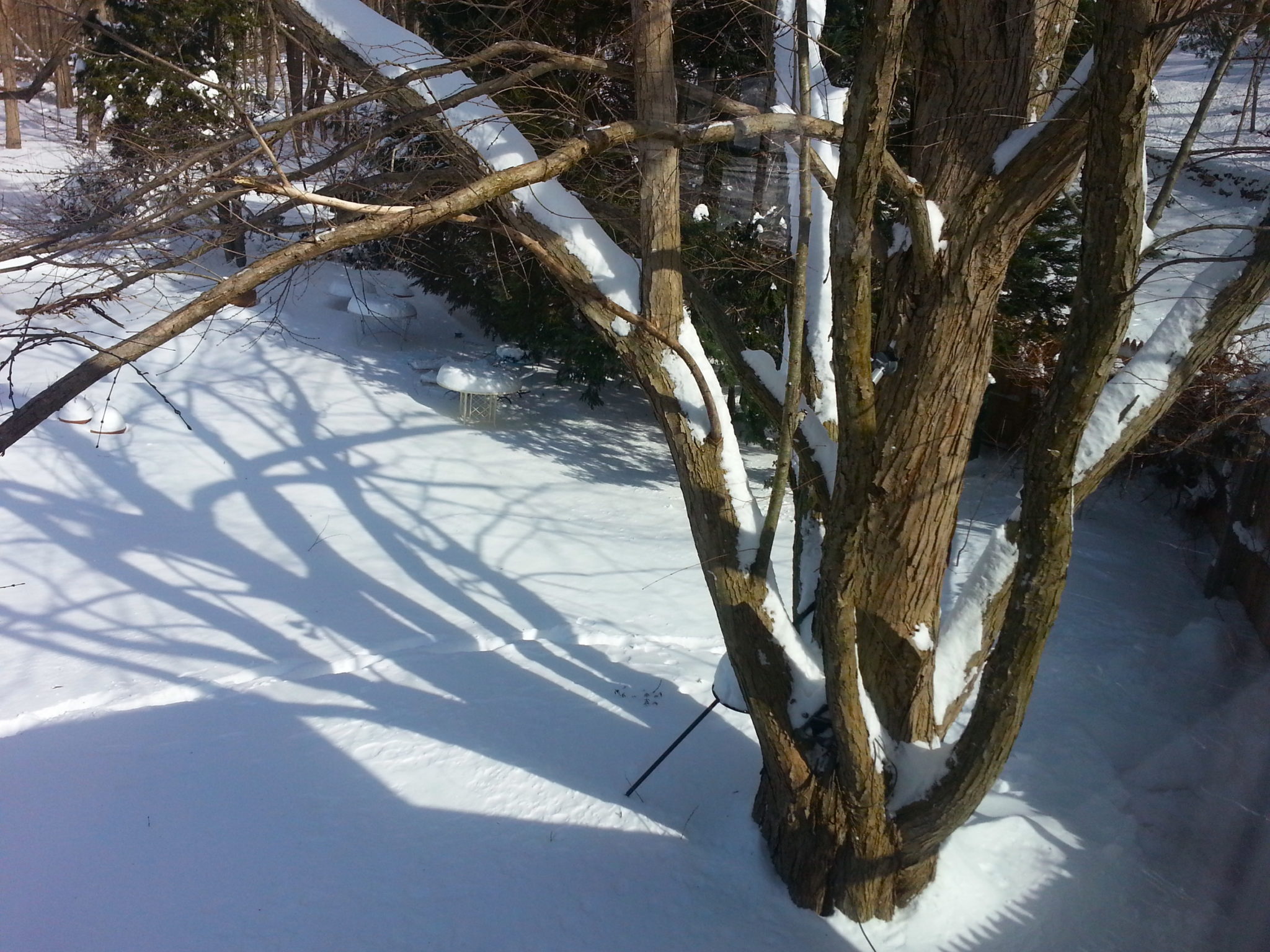 20130209_115217