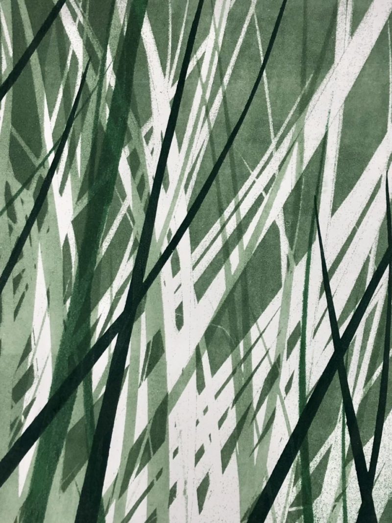 Grasses
